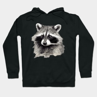 Cute Raccoon, Love Raccoons Hoodie